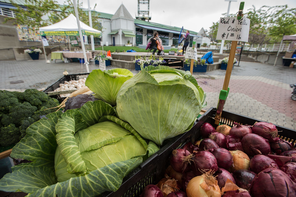 September 29, 2019 Jack London Farmer's Market - Downtown Oakland Specific Plan Image