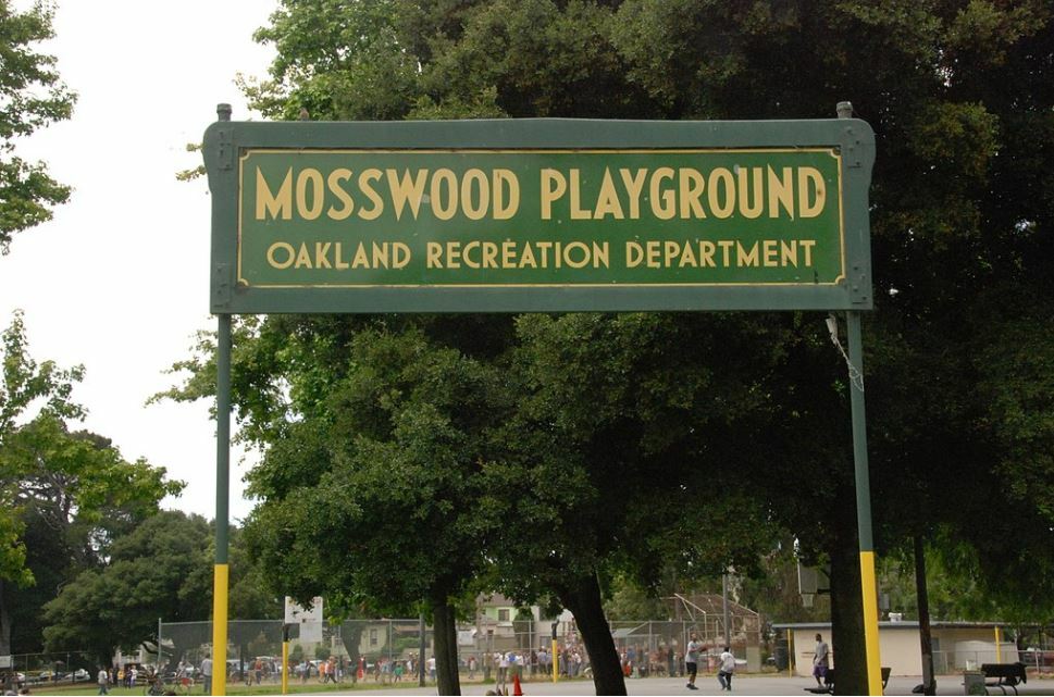New Mosswood